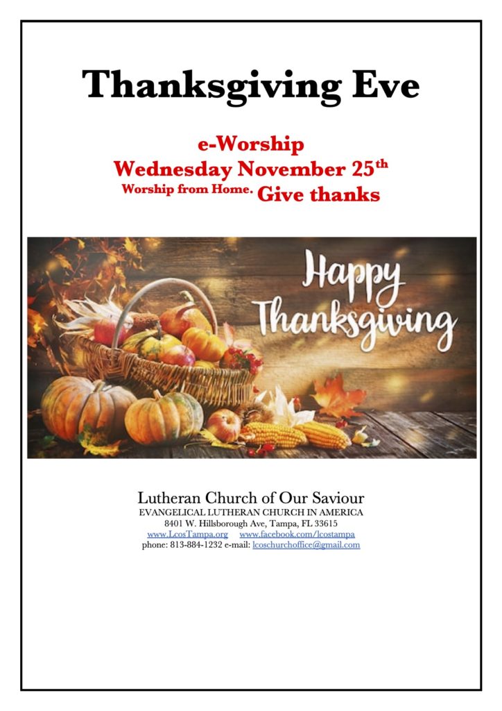 Thanksgiving week in tampa
